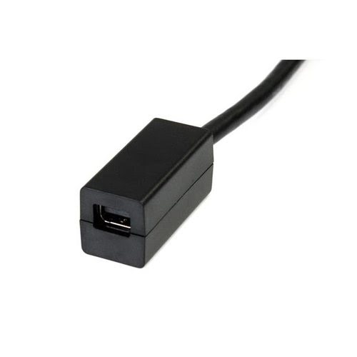 DisplayPort to Mini DisplayPort Adapter - Achat / Vente sur grosbill-pro.com - 2