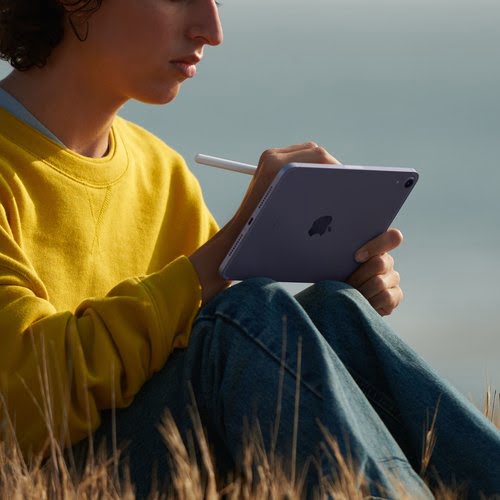 iPad Mini Wi-Fi Cl 64GB Stl - Achat / Vente sur grosbill-pro.com - 3