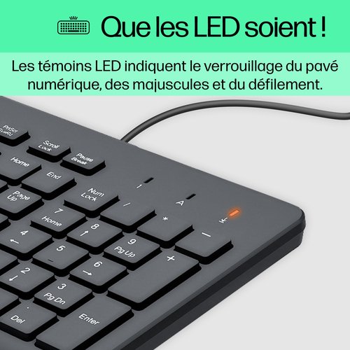 HP 150 WD KBD - Achat / Vente sur grosbill-pro.com - 8