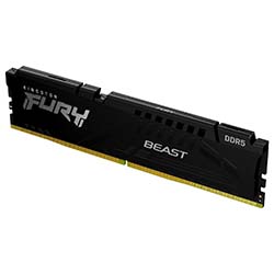 Fury Beast 16Go (1x16Go) DDR5 5200MHz