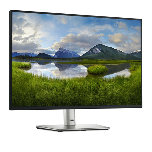 DELL 24 MONITOR - P2425 - Achat / Vente sur grosbill-pro.com - 1