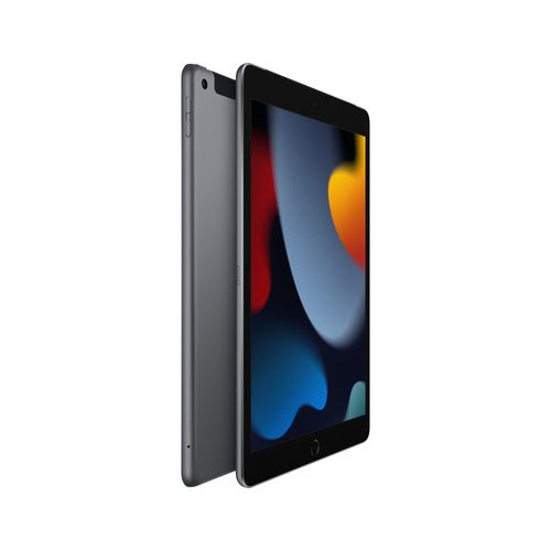 iPad Wi-Fi Cl 256GB Sp Gray - Achat / Vente sur grosbill-pro.com - 1