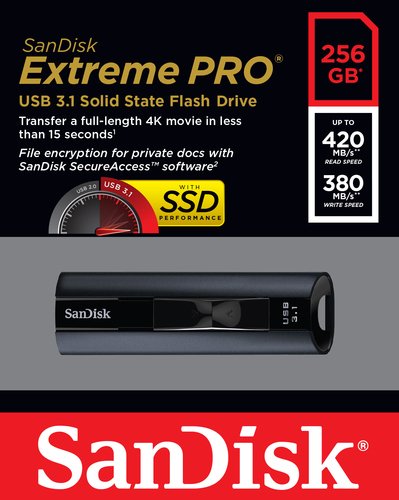 Ext PRO USB3.1 SolidStateFlashDrive256GB - Achat / Vente sur grosbill-pro.com - 6