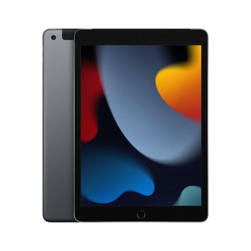 iPad Wi-Fi Cl 256GB Sp Gray - Achat / Vente sur grosbill-pro.com - 0