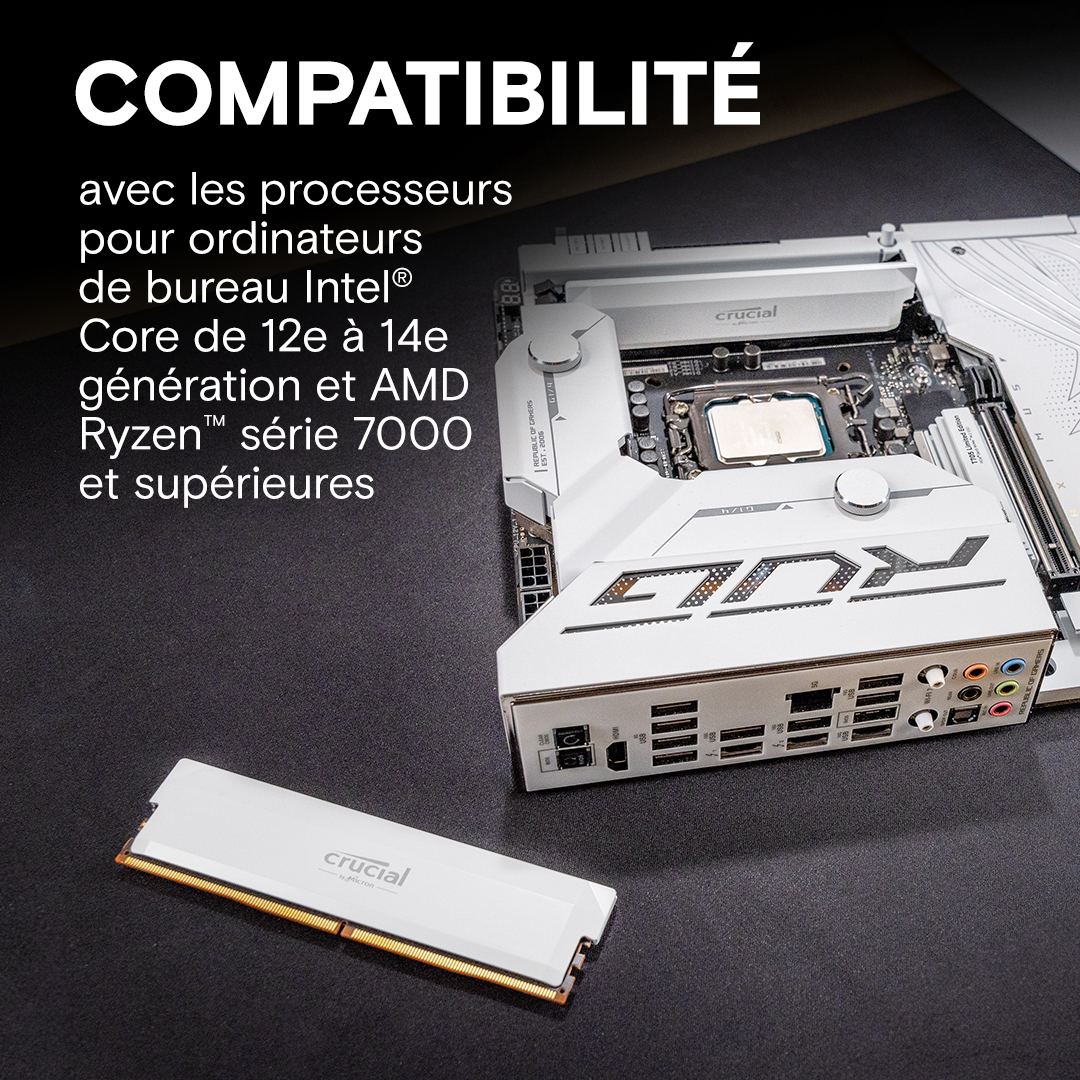 Crucial Pro Overclocking Edition 32Go (2x16Go) DDR5 6000MHz - Mémoire PC Crucial sur grosbill-pro.com - 3