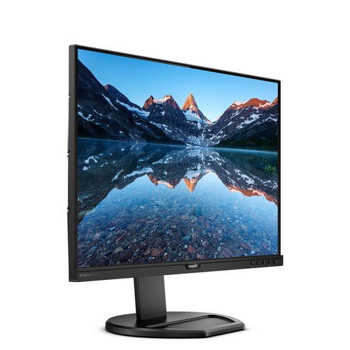 PHILIPS 252B9/00 25" - Achat / Vente sur grosbill-pro.com - 13