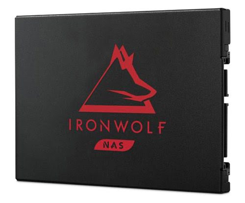 IronWolf 125 SSD 500Gb SATA 6 Gb/s retai
