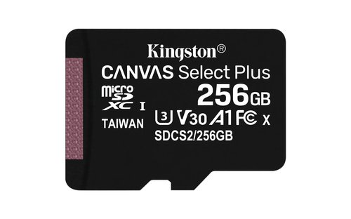 Grosbill Carte mémoire Kingston 256GB micSDXC 100R A1 C10 w/o ADP