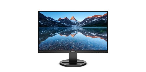 PHILIPS 252B9/00 25" - Achat / Vente sur grosbill-pro.com - 2