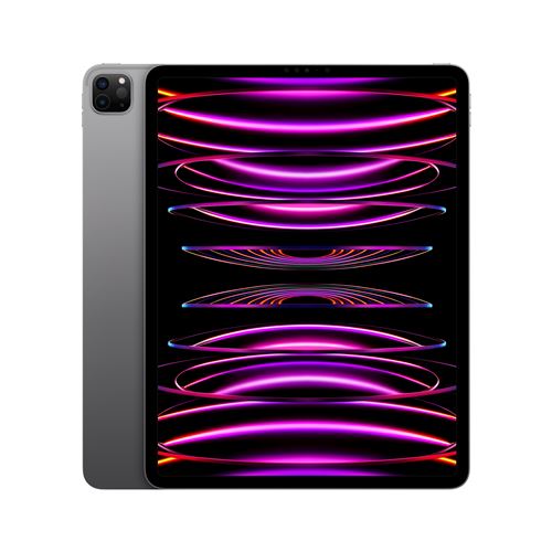 Apple iPad Pro 12.9" Wi-Fi 256GB Gris Sidéral - Tablette tactile - 0