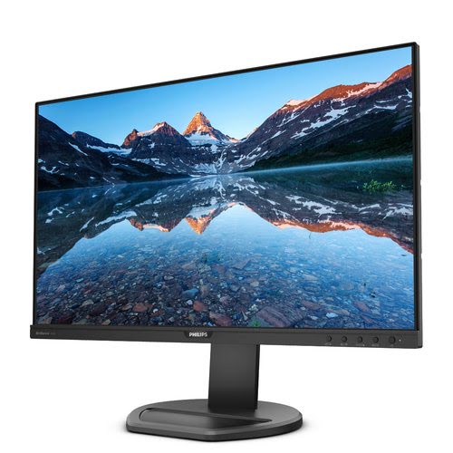 PHILIPS 252B9/00 25" - Achat / Vente sur grosbill-pro.com - 16