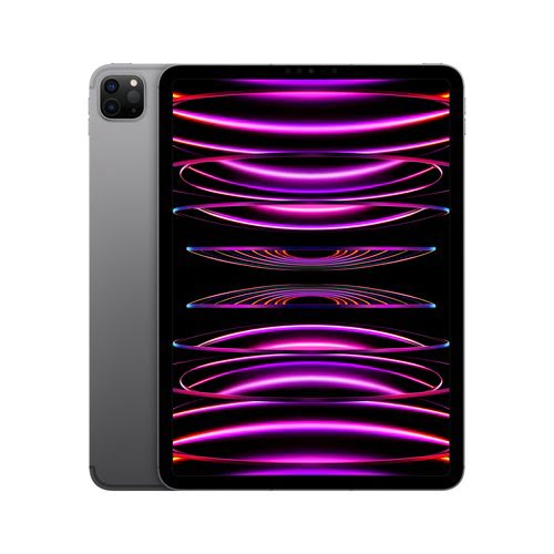 iPad Pro 11 Wi-Fi Cl 512 Gray - Achat / Vente sur grosbill-pro.com - 1