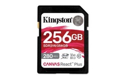 Grosbill Carte mémoire Kingston Micro SDXC 256Go Class 10 - SDR2V6/256GB 