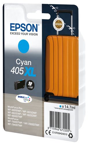 - Cyan - C13T05H24010 pour imprimante  Epson - 1