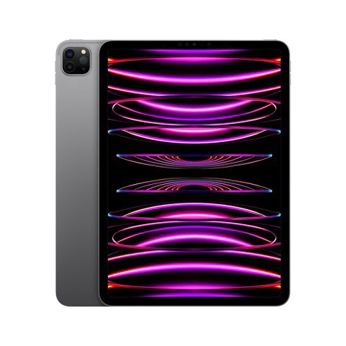 Apple iPad Pro (2022) 11" 256 Go Wi-Fi Gris Sidéral - 1