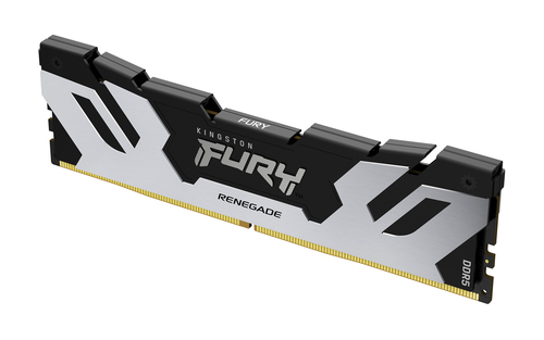 Fury Renegade 32Go (1x32Go) DDR5 6400MHz