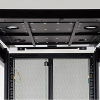 42U RACK ENCLOSURE CABINET - Achat / Vente sur grosbill-pro.com - 1