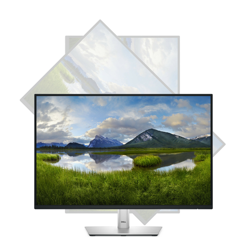 DELL 24 MONITOR - P2425 - Achat / Vente sur grosbill-pro.com - 5