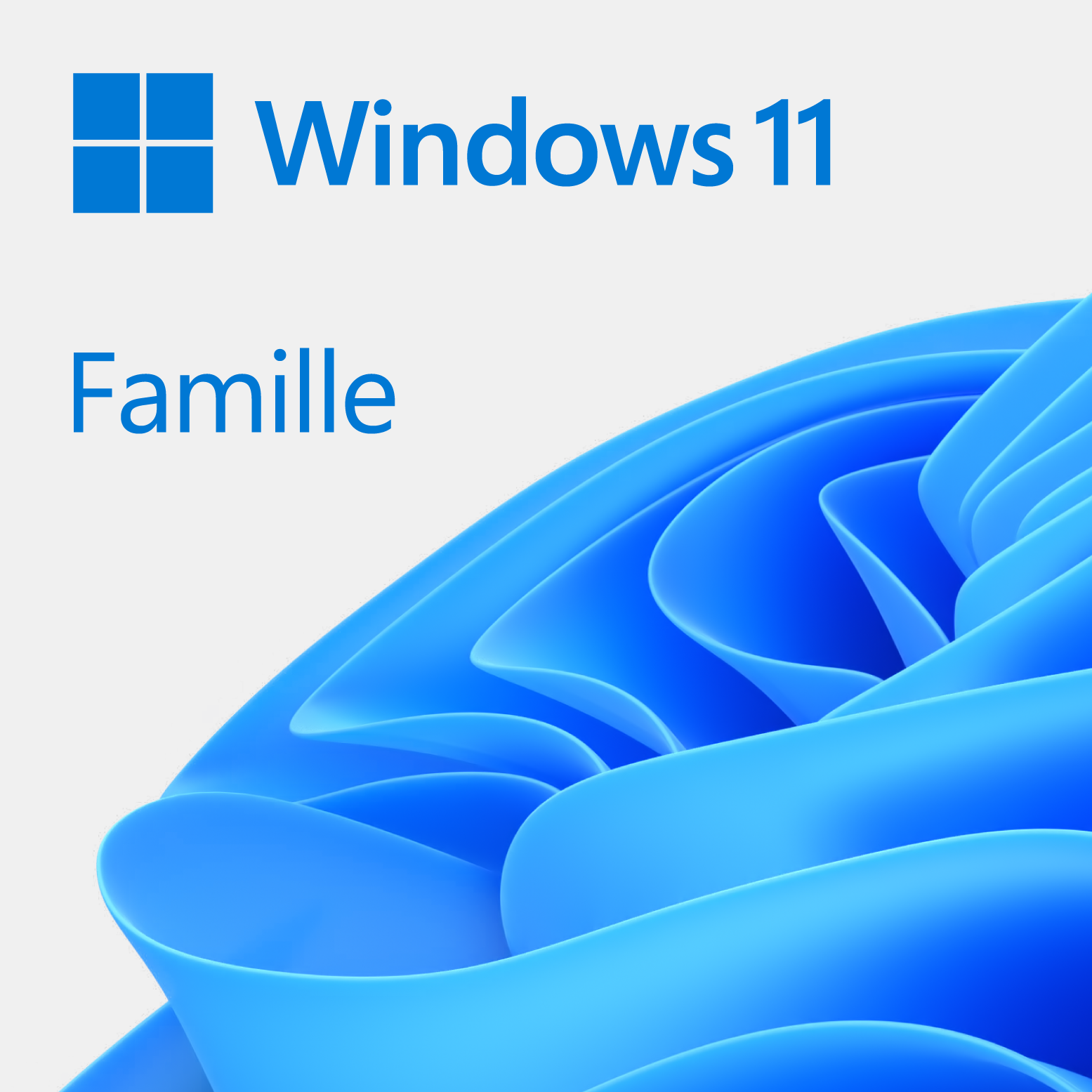 Microsoft Windows 11 Home 64Bits COEM - Logiciel système exploitation - 0