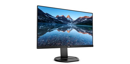 PHILIPS 252B9/00 25" - Achat / Vente sur grosbill-pro.com - 3