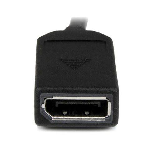 8in DMS-59 to Dual DisplayPort Cable - Achat / Vente sur grosbill-pro.com - 2